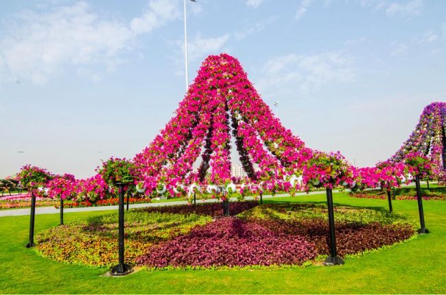 In Dubai s-a deschis cea mai mare gradina cu flori naturale din lume. Cum arata acest paradis floral