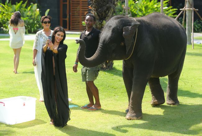 Kim Kardashian a fost atacata de un pui de elefant. Vezi ce l-a facut pe animal sa reactioneze asa