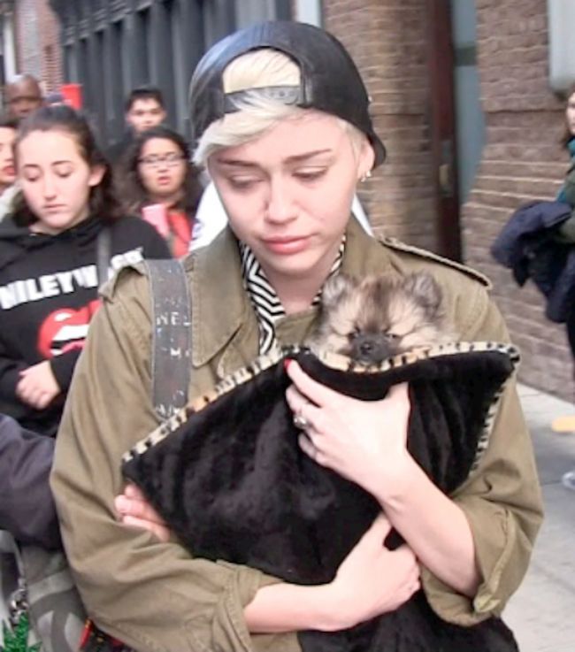 Miley Cyrus a fost dusa de urgenta la spital. Vezi cu ce probleme de sanatate se confrunta artista