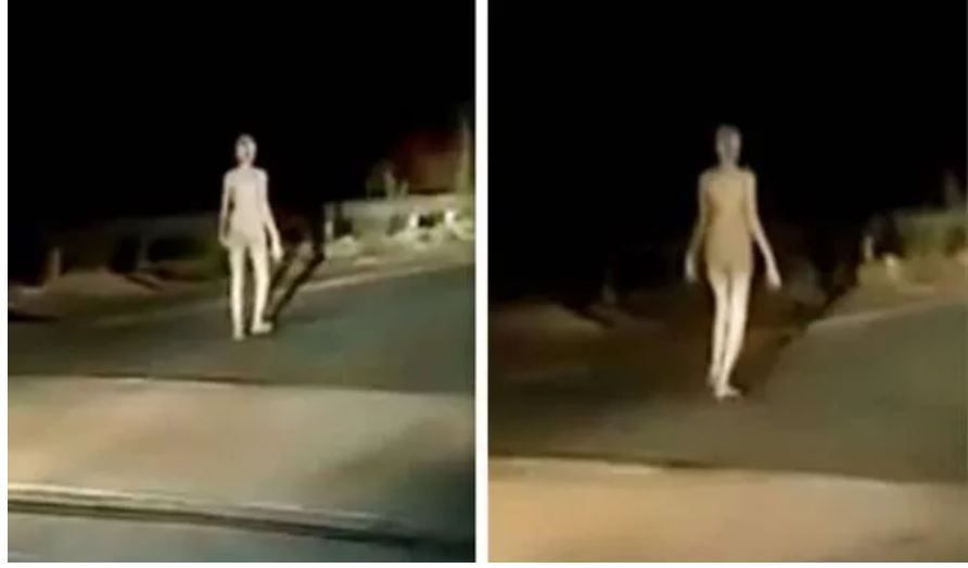 Video-ul viral cu o &rdquo;creatură fantomatică&rdquo; merg&acirc;nd pe stradă a &icirc;mpărțit internetul &icirc;n două