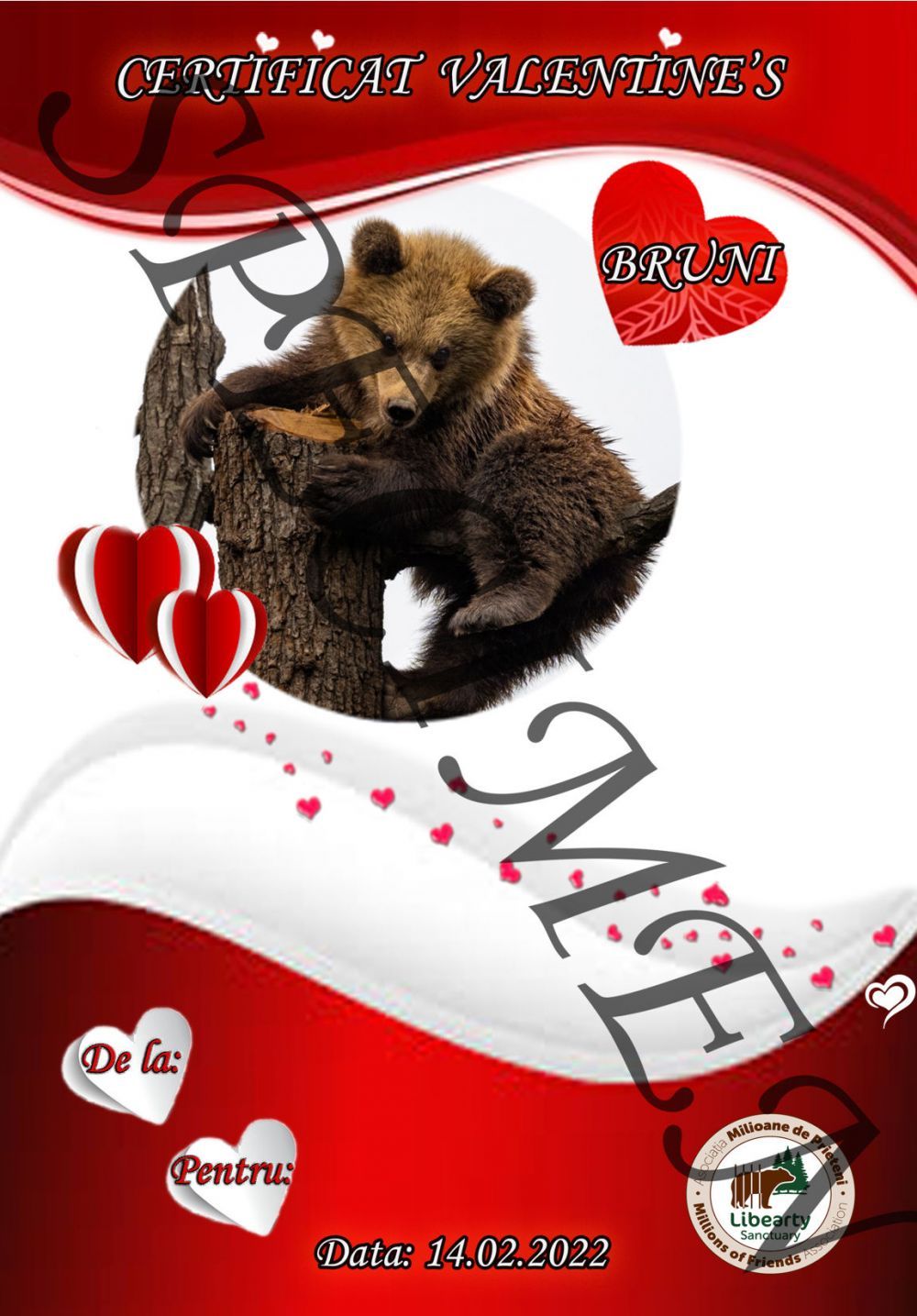 Un urs de la Zărnești, cadou inedit pentru persoana iubită, de Ziua &Icirc;ndrăgostiților